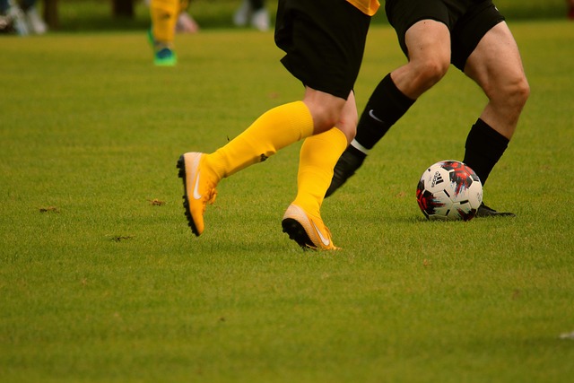 们感受到 们感受到