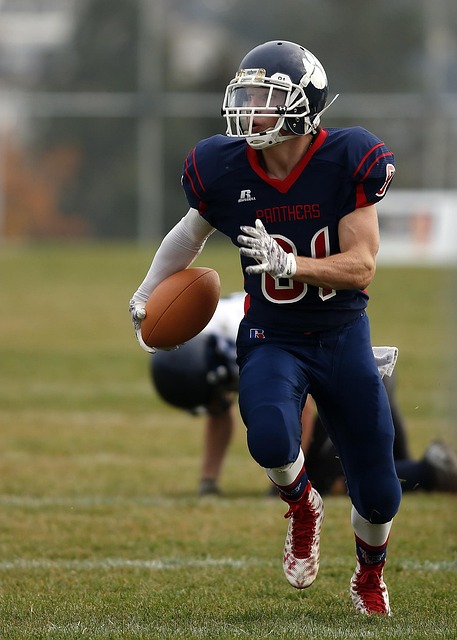 种族歧视争 种族歧视争