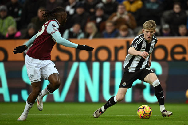 并迅速成长 并迅速成长